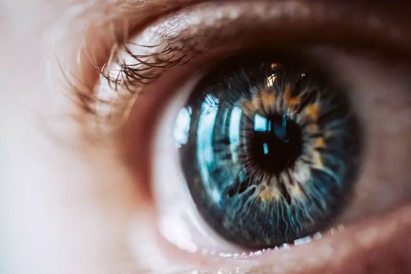 Terapia experimental reverte danos na córnea com células-tronco | Lifebrunch
