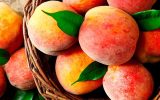Ranking internacional elege as melhores frutas do mundo | Lifebrunch