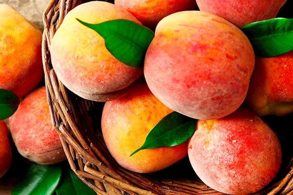 Ranking internacional elege as melhores frutas do mundo | Lifebrunch