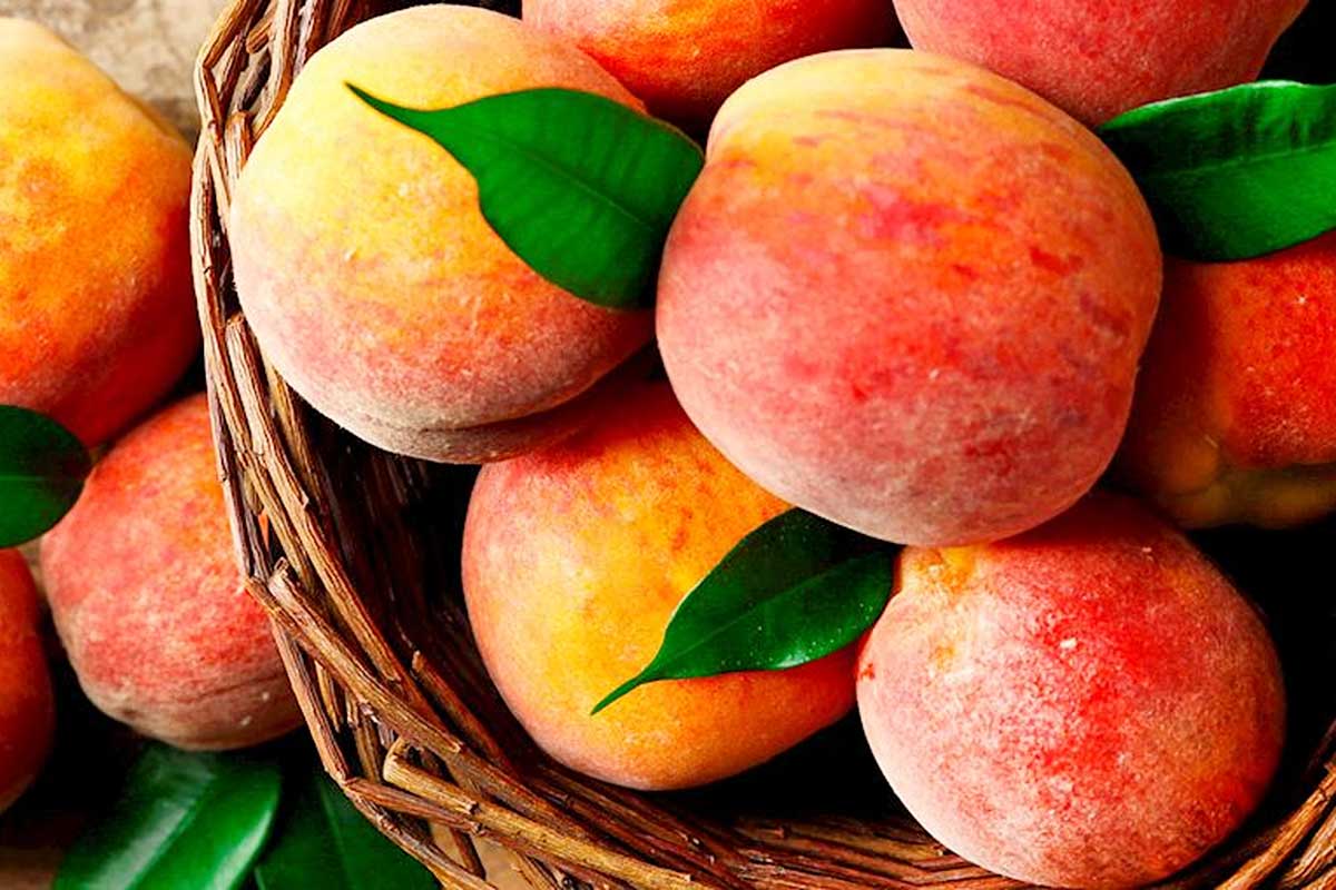 Ranking internacional elege as melhores frutas do mundo | Lifebrunch